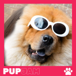 Pups love group