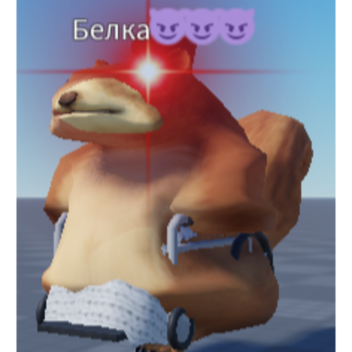 Избивай белок ногами симулятор😎😎😎