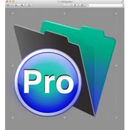 [Fixing]PRO PEOPLES HANGOUT