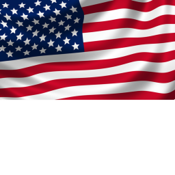 America Simulator