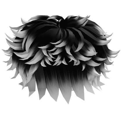 Black to White Messy Fluffy Hair Roblox item