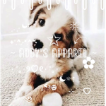 ~ addy’s apparel ~