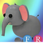 Kendall loves Elephants