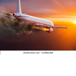 Tropical Airlines: Survival