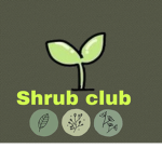 Shrubs club