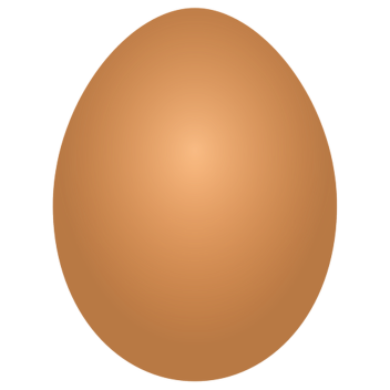 An Egg