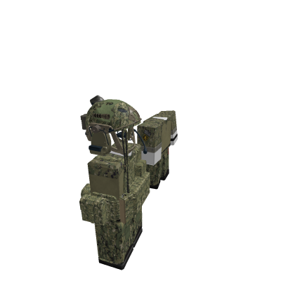 [R15] Navy SEALs