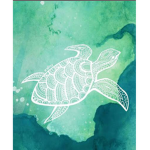 Terrible Turtles