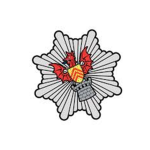 Achub Tân De Cymru | South wales Fire Rescue