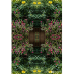 //The Secret Garden//