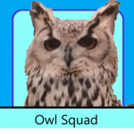 Owl Squad.