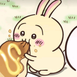 piku's bunnies