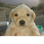 Soda para jaime