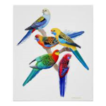 Parrot Parties