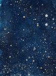 The Starchildren