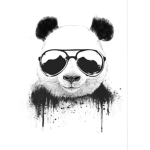 The cool pandas squad!!!