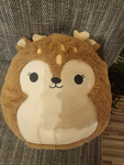 Cookiessindnice