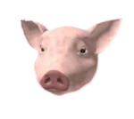 The Pig Association