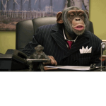 MONKE BUSINESS!!!!!!