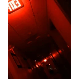 The Backrooms Level !  (Run For Your Life) icon
