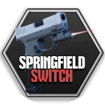 Springfield Switch