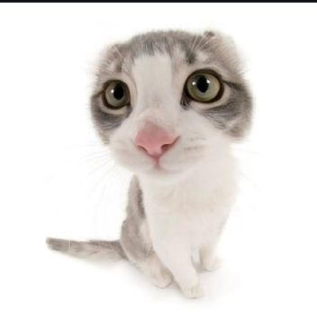 Hey