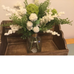Ayla's aesthetics group