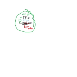 Fiesta icon