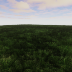 The Field