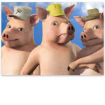 The NEW three little pig's group :)