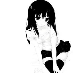 ╋━