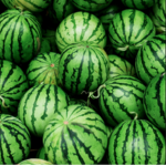 Plenti Melons