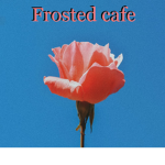 Frosted Cafe!
