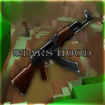 StarsHood [stars program]