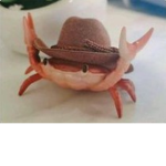 Council of Crab