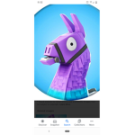 Fortnite Fan Group Join PLZ