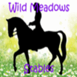 Wild Meadows Stables