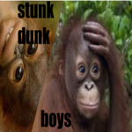 stunk dunk boys