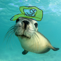 the seal game! (MORPHS)