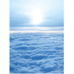 Aesthetic Sky-Blue Group