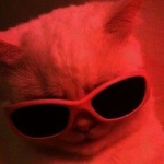 Basickxren Aesthetic