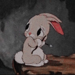 Bunny_Tok