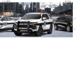 Birchwood Police Groups