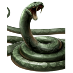 Destiny’s snakes