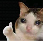 Cookie cat gamer group