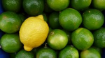 lime and lemon games