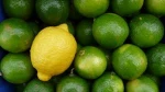 lime and lemon games Group Thumbnail