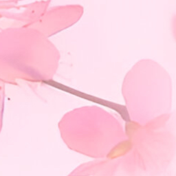 ❀