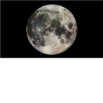 moon crackers