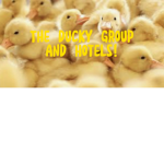 The Ducky Group and Hotels